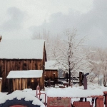 Критический анализ слота Bigger Barn House Bonanza и игровых механизмов