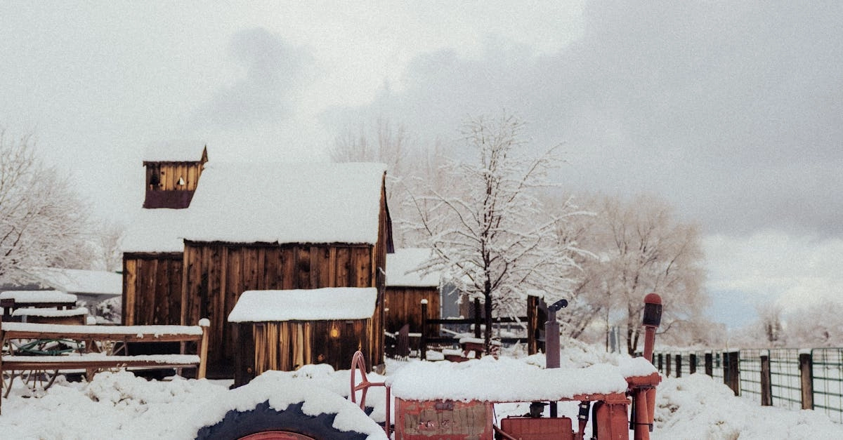 Критический анализ слота Bigger Barn House Bonanza и игровых механизмов