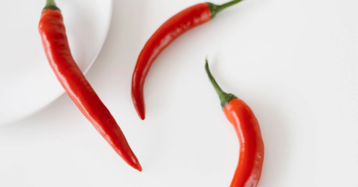 Символическое изображение протеста против слот-машин и игорной индустрии